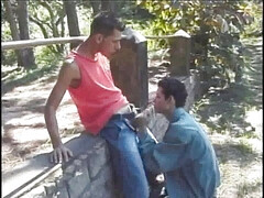 Gay fucked in the street