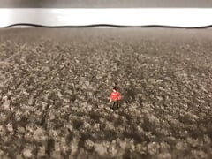 Webcam Giant Cock Doms Tiny ABRIDGED