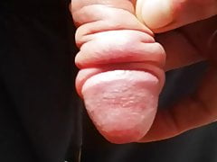 Extreme Penis Pump