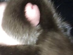 Cum on Otter Fur