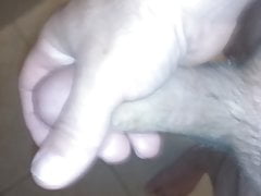 Oregon Cock