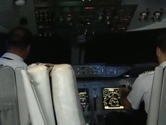 Taking Flight 2
