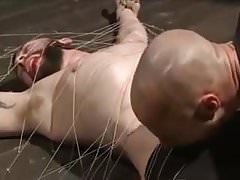Pup torture