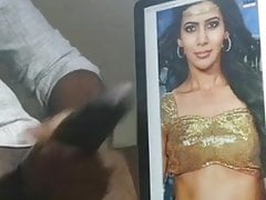 Samantha veriyan big black cock tribute