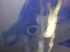 Xia Mei Jiang (Ishtar cosplay) cumtribute