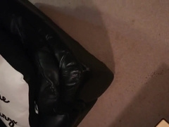 Pissing in 13 different places around the house