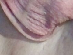 Cock up close