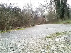 ptit footing a poil