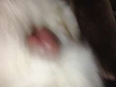 fox fur stroke