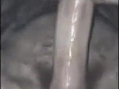 Bareback Creampie Upshot 8