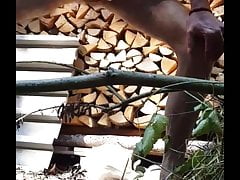 Woods making