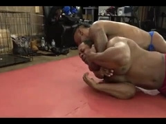 old vintage verse new