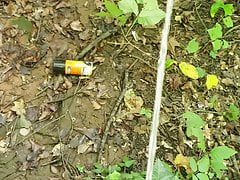 Forest piss