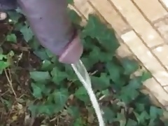 Black bull pee pee