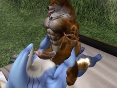 Wooly, yiff, life