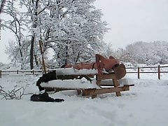 hard exhib, naked in fresh snow