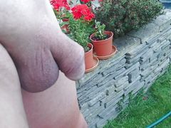 pissing in the garden