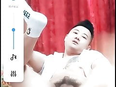 asian bear