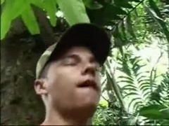 Brazilian Woods