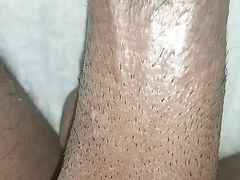 Bs bit ka diwane hai de ke ke dekh lo ek baar