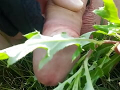 Wanking with a thistle in the forest