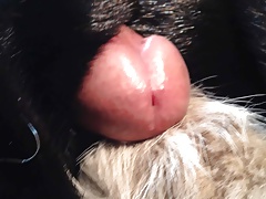 mink fur cum