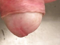 Piss and foreskin