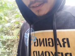 Inside the forest