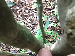 Risky Outdoor Tree Fuck near jogging trail.