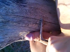 Nice Cock Fucking a tree, outdoor with nice cum