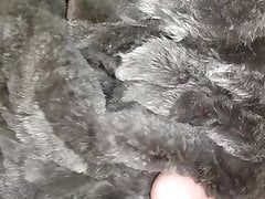 Rex rabbit blanket