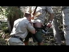 Nasty Bears