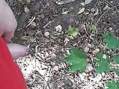 Pee in the Forest