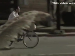 Strange Places... Strange Things! (1985)