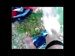 CDs blowtime in the forest