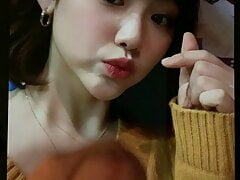 Kang Mina Cum Tribute 2