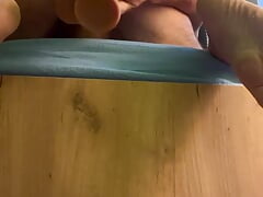 from behind the pets