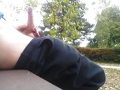 Cum in a public park