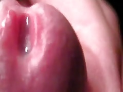 Sperma