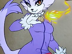 Blaze the Cat (Sonic) furry tribute