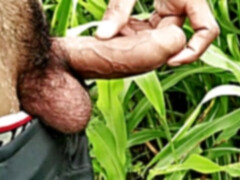 Desi indian, cum shot, gay big cock