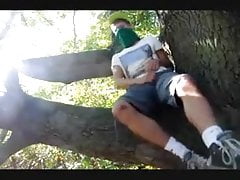 Wanking Boy on Tree