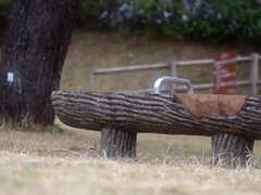 Public Masturbate: Young Batty boy Fellow Unclothes and Drains Outdoors