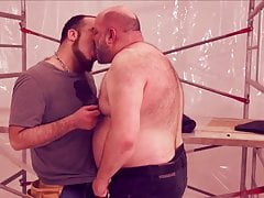 Hot Bears at Work