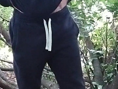 Having Joy In The Forest