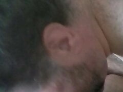 Teddybear Bj