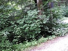 Outdoor pumped