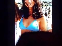 Cum Tribute 6