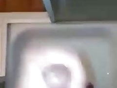 Indian cock