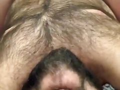 Bear Riding a Furry Bear